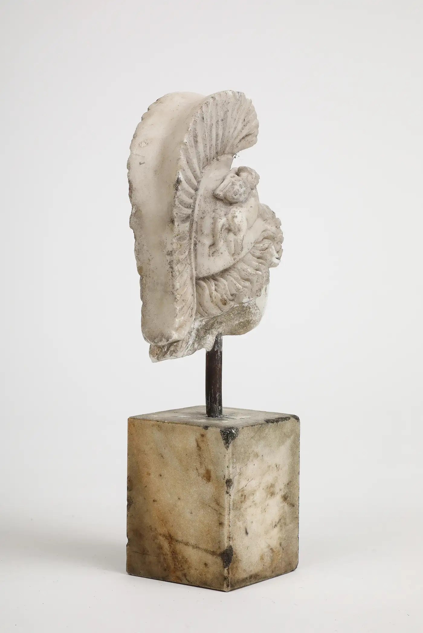 Head of Minerva Carved in White Marble, 19th Century